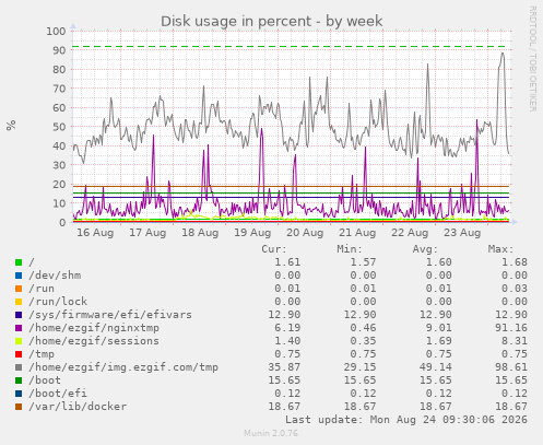 Disk usage in percent